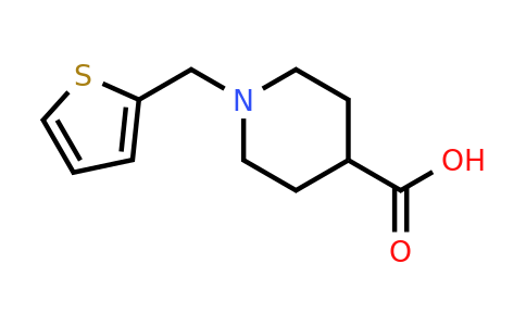 CAS 901923-78-2 | 1-(Thiophen-2-ylmethyl)piperidine-4-carboxylic acid