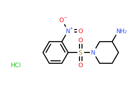 CAS 902149-03-5 | 1-(2-Nitro-benzenesulfonyl)-piperidin-3-ylamine hydrochloride
