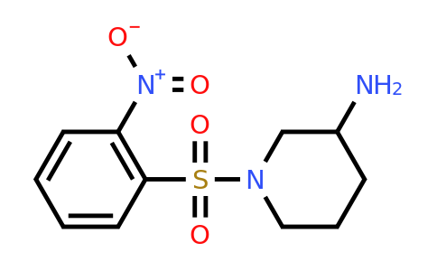 CAS 902241-97-8 | 1-(2-Nitro-benzenesulfonyl)-piperidin-3-ylamine