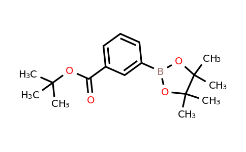 CAS 903895-48-7 | 3-(T-Butoxycarbonyl)phenylboronic acid pinacol ester
