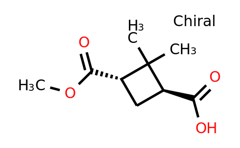 CAS 905821-48-9 | trans-3-(methoxycarbonyl)-2,2-dimethylcyclobutane-1-carboxylic acid