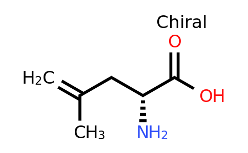 CAS 905929-81-9 | (R)-2-Methallylglycine