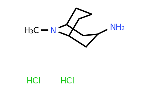 CAS 906081-58-1 | 9-Methyl-9-azabicyclo[3.3.1]nonan-3-amine dihydrochloride