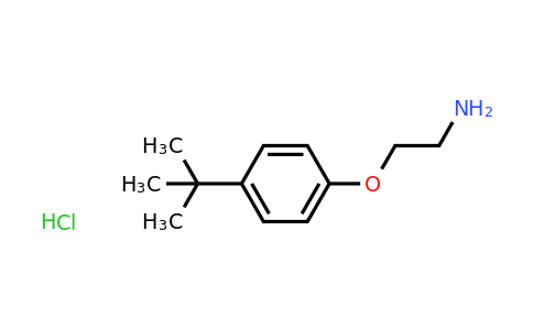 CAS 908596-56-5 | 2-(4-tert-butylphenoxy)ethan-1-amine hydrochloride
