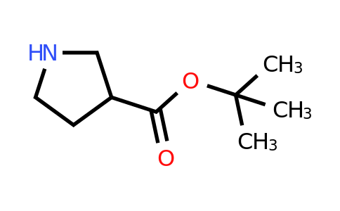 CAS 91040-52-7 | tert-butyl pyrrolidine-3-carboxylate