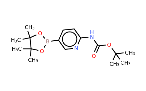 CAS 910462-31-6 | 2-(Tert-butoxycarbonylamino)pyridine-5-boronic acid, pinacol ester