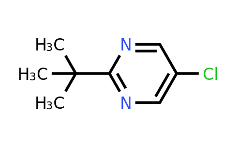 CAS 91167-21-4 | 2-Tert-butyl-5-chloropyrimidine