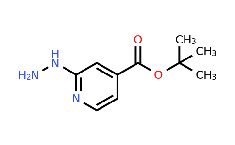 CAS 913839-77-7 | tert-butyl 2-hydrazinylpyridine-4-carboxylate
