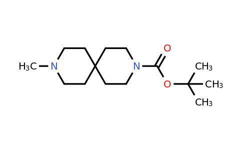 CAS 918653-13-1 | tert-butyl 9-methyl-3,9-diazaspiro[5.5]undecane-3-carboxylate
