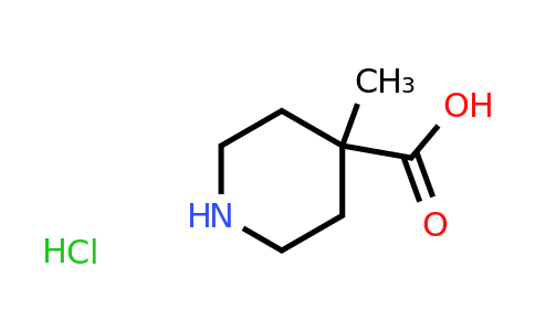 CAS 919354-20-4 | 4-methylpiperidine-4-carboxylic acid hydrochloride