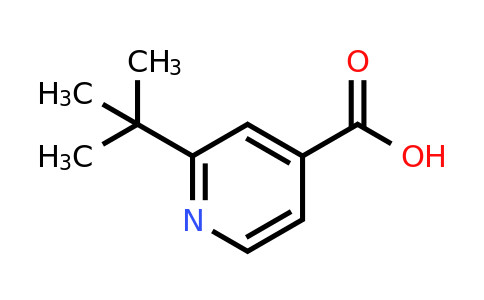 CAS 91940-84-0 | 2-(Tert-butyl)isonicotinic acid