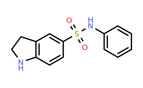 CAS 92245-85-7 | N-Phenylindoline-5-sulfonamide