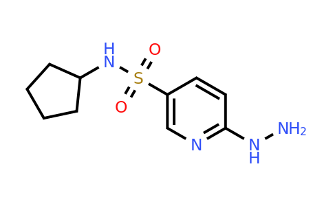 CAS 926196-79-4 | N-Cyclopentyl-6-hydrazinylpyridine-3-sulfonamide