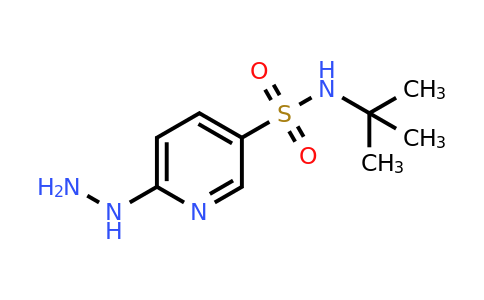 CAS 926262-36-4 | N-tert-Butyl-6-hydrazinylpyridine-3-sulfonamide