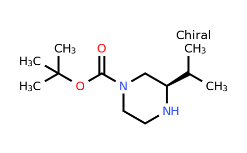CAS 928025-63-2 | (R)-1-BOC-3-Isopropyl-piperazine