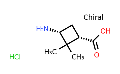 CAS 92812-22-1 | cis-3-amino-2,2-dimethylcyclobutanecarboxylic acid hydrochloride