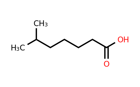 CAS 929-10-2 | 6-Methylheptanoic acid