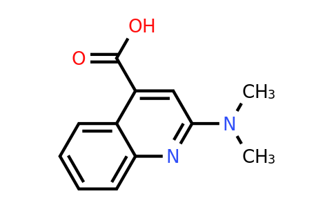 CAS 933728-79-1 | 2-(Dimethylamino)quinoline-4-carboxylic acid