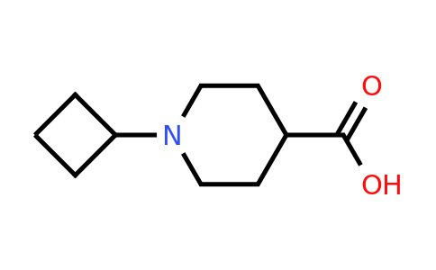 CAS 935534-09-1 | 1-Cyclobutylpiperidine-4-carboxylic acid