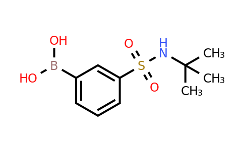 T-butyl 3-boronobenzenesulfonamide