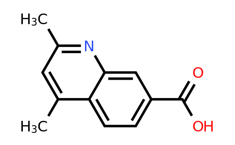 CAS 936074-38-3 | 2,4-Dimethylquinoline-7-carboxylic acid