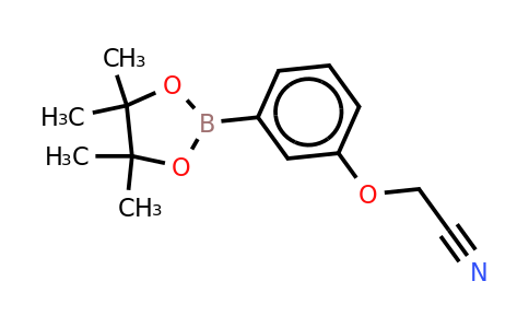 CAS 936250-18-9 | 3-Cyanomethoxyphenylboronic acid, pinacol ester