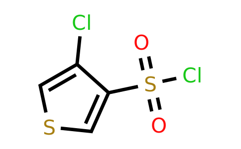 CAS 937636-93-6 | 4-chlorothiophene-3-sulfonyl chloride