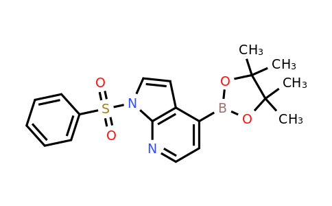 1-Phenylsulfonyl-7-azaindole-4-boronic acid pinacol ester