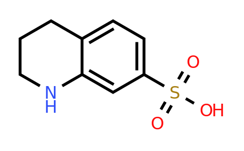 CAS 94411-91-3 | 1,2,3,4-tetrahydroquinoline-7-sulfonic acid