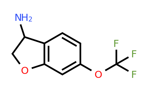 CAS 944904-34-1 | 6-(Trifluoromethoxy)-2,3-dihydro-1-benzofuran-3-amine