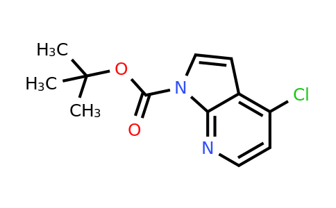 CAS 945599-50-8 | 1-BOC-4-Chloro-7-azaindole