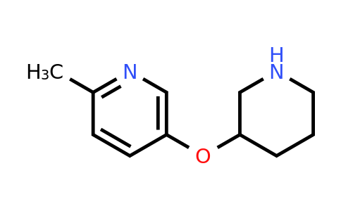 CAS 946681-30-7 | 2-methyl-5-(piperidin-3-yloxy)pyridine