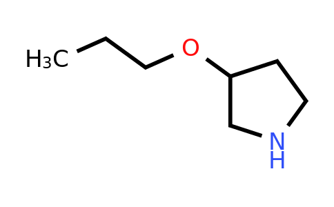 CAS 946681-61-4 | 3-Propoxy-pyrrolidine