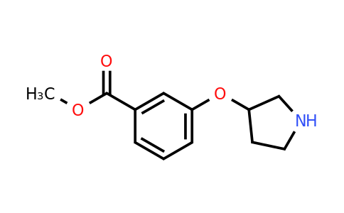 CAS 946715-41-9 | 3-(Pyrrolidin-3-yloxy)-benzoic acid methyl ester