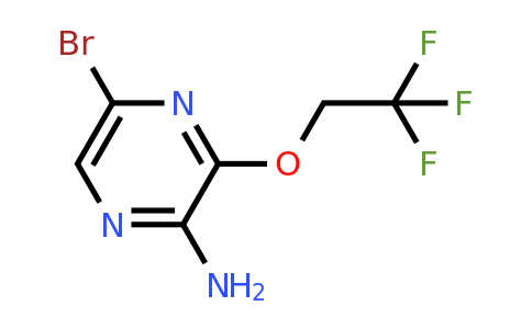CAS 947249-22-1 | 5-Bromo-3-(2,2,2-trifluoroethoxy)pyrazin-2-amine