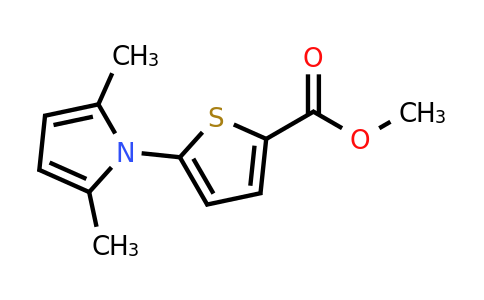 CAS 949223-60-3 | Methyl 5-(2,5-dimethyl-1H-pyrrol-1-yl)thiophene-2-carboxylate