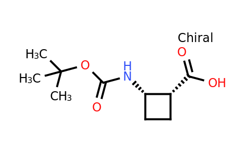 CAS 951173-22-1 | cis-2-{[(tert-butoxy)carbonyl]amino}cyclobutane-1-carboxylic acid