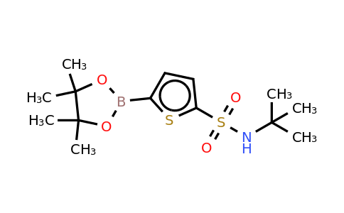 CAS 951233-59-3 | N-(tert-butyl)-5-(4,4,5,5-tetramethyl-1,3,2-dioxaborolan-2-YL)thiophene-2-sulfonamide