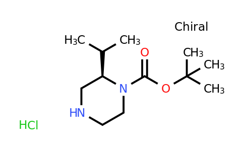 CAS 955979-06-3 | (R)-tert-Butyl 2-isopropylpiperazine-1-carboxylate hydrochloride