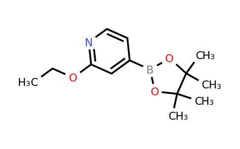CAS 957346-47-3 | 2-Ethoxy-4-(4,4,5,5-tetramethyl-1,3,2-dioxaborolan-2-YL)pyridine
