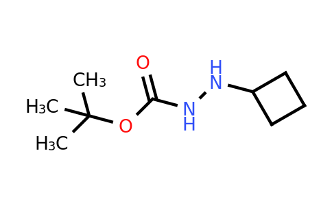 CAS 959137-72-5 | N'-cyclobutyl(tert-butoxy)carbohydrazide