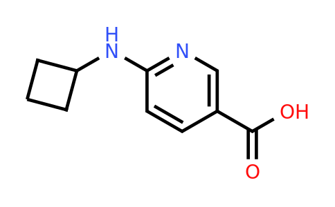 CAS 960060-89-3 | 6-(Cyclobutylamino)nicotinic acid