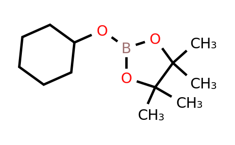 CAS 96649-78-4 | 2-(cyclohexyloxy)-4,4,5,5-tetramethyl-1,3,2-dioxaborolane