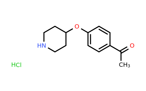 CAS 97840-07-8 | 1-[4-(4-Piperidinyloxy)phenyl]ethanone hydrochloride