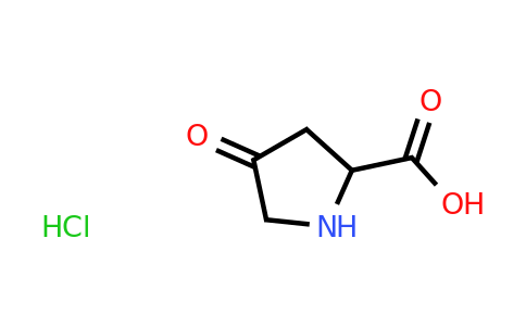 CAS 98142-78-0 | 4-oxopyrrolidine-2-carboxylic acid hydrochloride