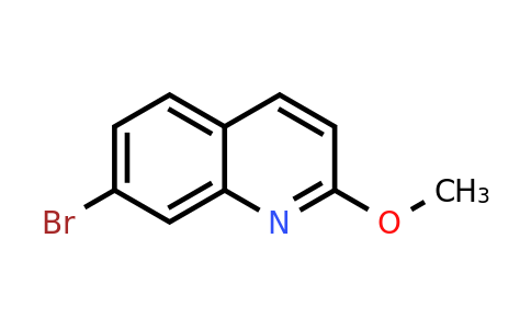 CAS 99455-08-0 | 7-Bromo-2-methoxyquinoline