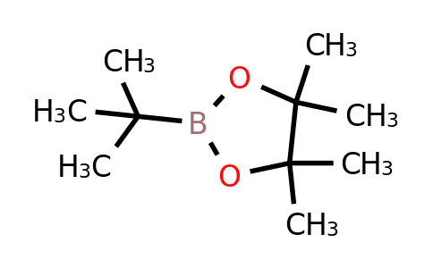 CAS 99810-76-1 | Tert-butylboronic acid pinacol ester