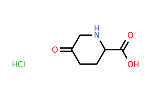 CAS 99980-20-8 | 5-oxopiperidine-2-carboxylic acid hydrochloride