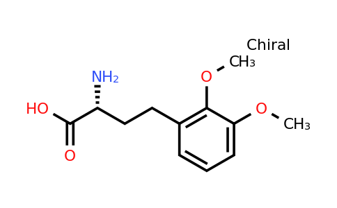 (R)-2-Amino-4-(2,3-dimethoxy-phenyl)-butyric acid