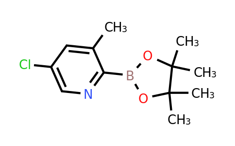 5-Chloro-3-methylpyridine-2-boronic acid pinacol ester